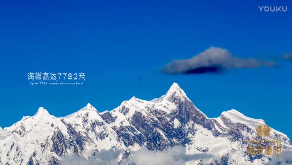 扬优势增动能 谱写乡村振兴新篇章