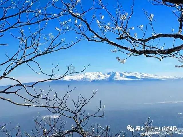 为什么有些女性选择早婚？
