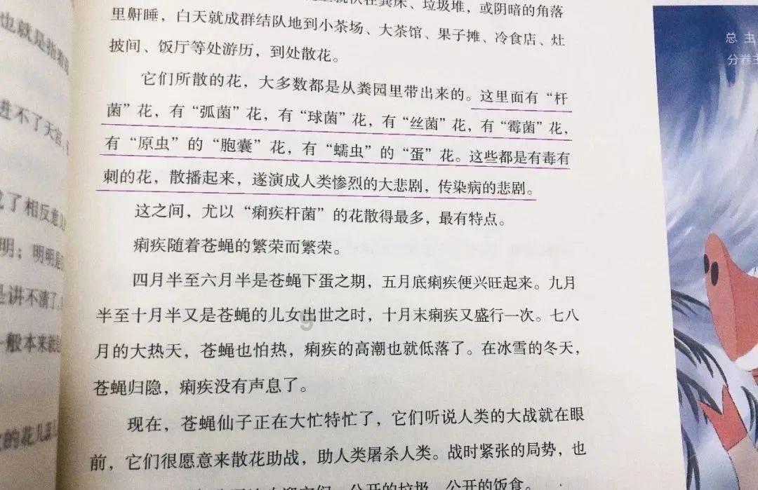 妙鸭相机app下载官网