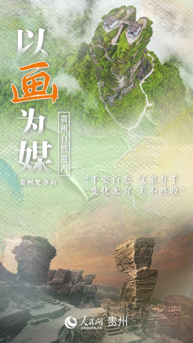 探探猫历险记
