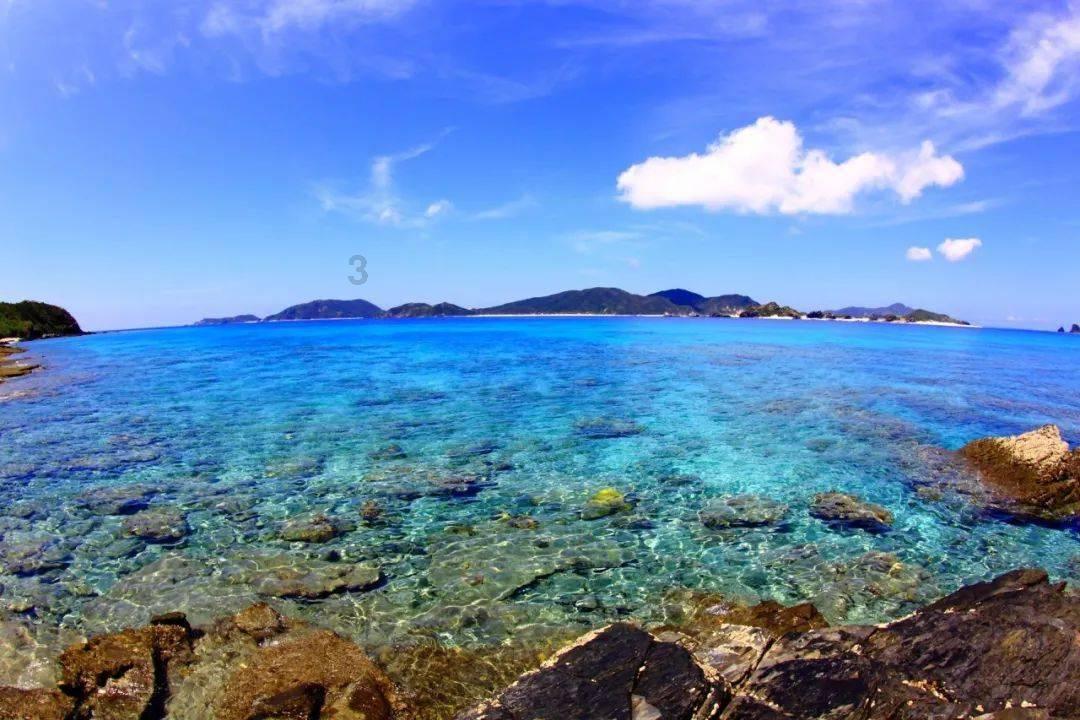 五大行动提升山东新型城镇化,济青联动打造错位发展双引擎