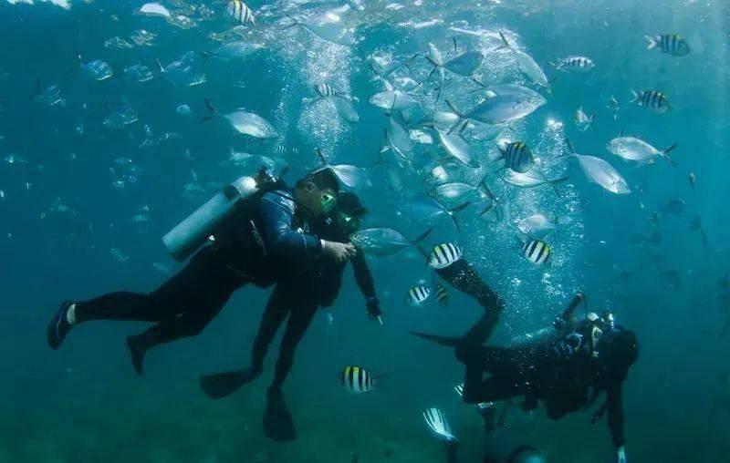 秋季浪漫约会