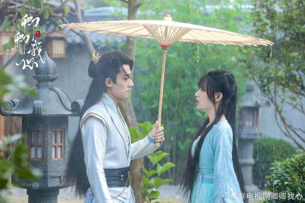 春雨直播app