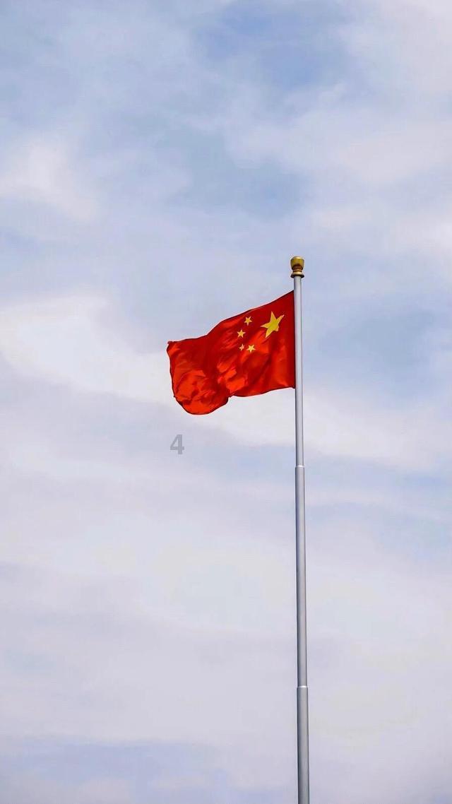 给泰迪洗澡正确的方法