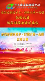 照顾小兔宝宝