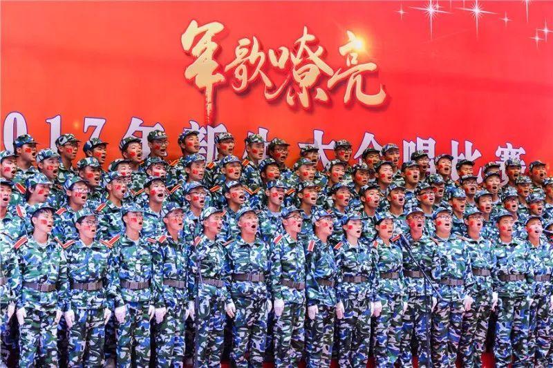 自由小迷宫