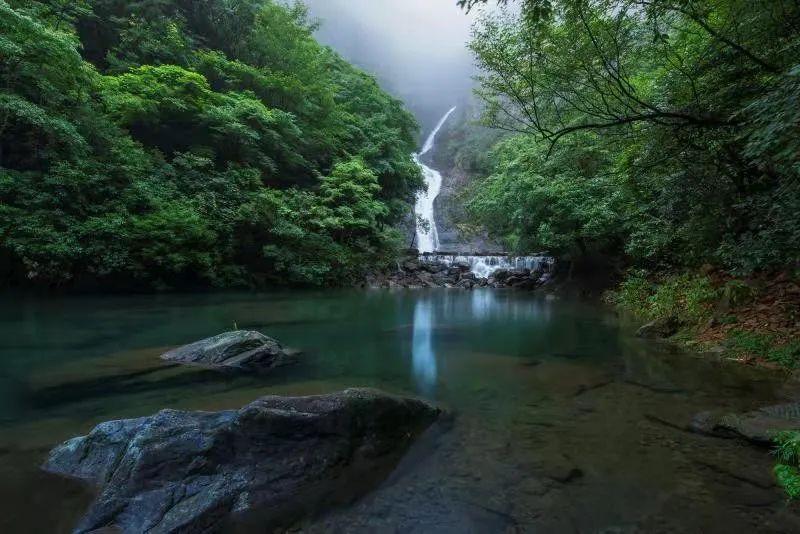 救援蓝色小兔
