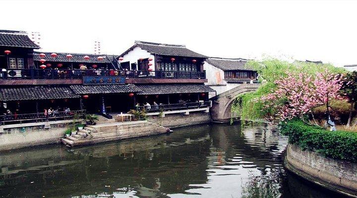 紫色系