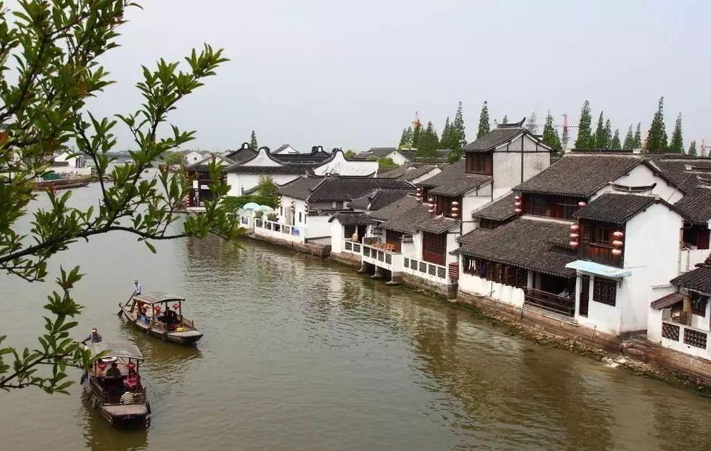 动物帮帮忙保卫家园